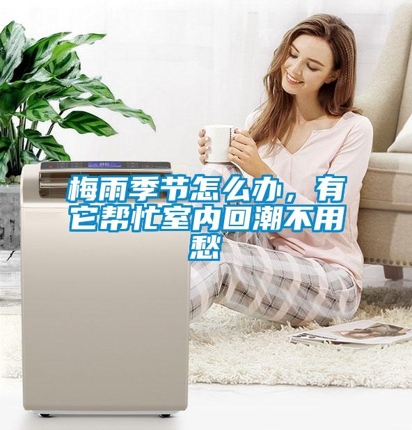 梅雨季節(jié)怎么辦，有它幫忙室內回潮不用愁
