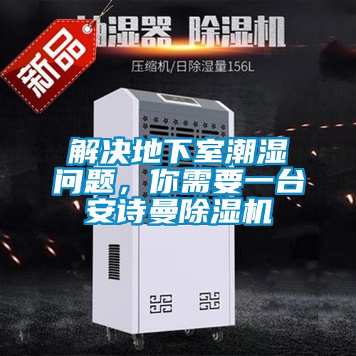 解決地下室潮濕問(wèn)題,你需要一臺(tái)安詩(shī)曼除濕機(jī)