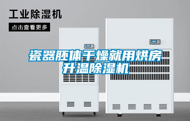 瓷器胚體干燥就用烘房升溫除濕機