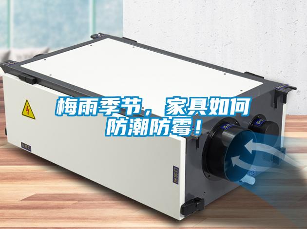 梅雨季節(jié)，家具如何防潮防霉！