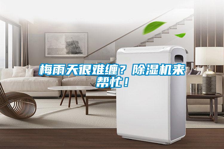梅雨天很難纏?除濕機(jī)來(lái)幫忙!