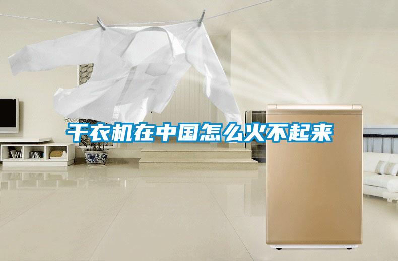 干衣機(jī)在中國怎么火不起來