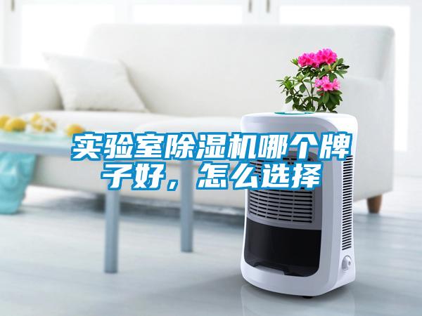 實驗室除濕機(jī)哪個牌子好,怎么選擇