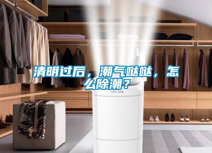 清明過后，潮氣噠噠，怎么除潮？
