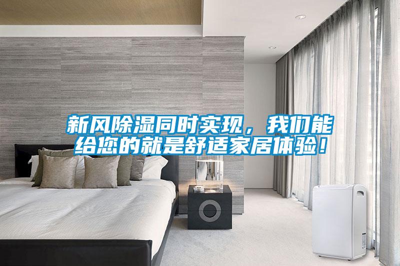 新風除濕同時實現(xiàn)，我們能給您的就是舒適家居體驗！