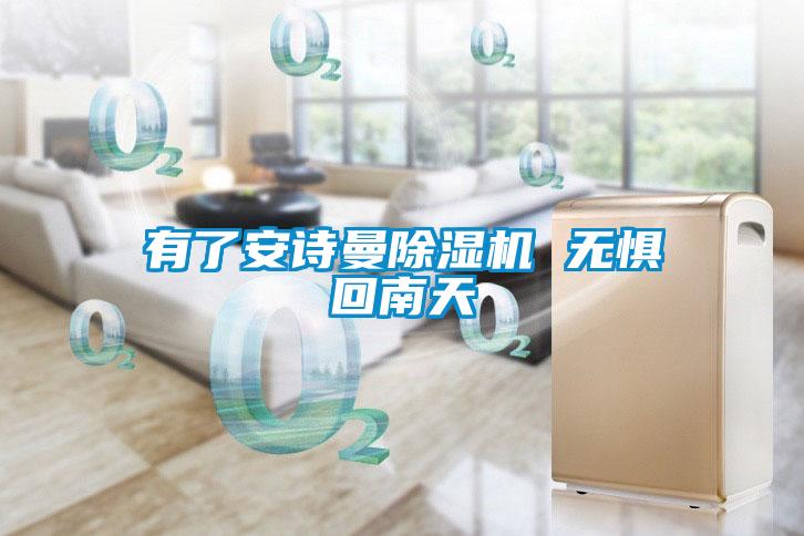 有了安詩曼除濕機 無懼回南天