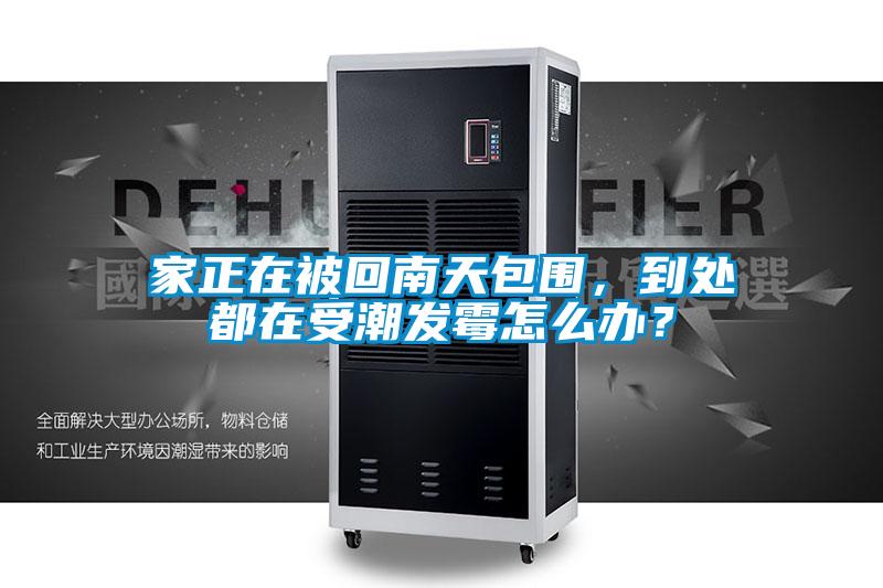家正在被回南天包圍，到處都在受潮發霉怎么辦？