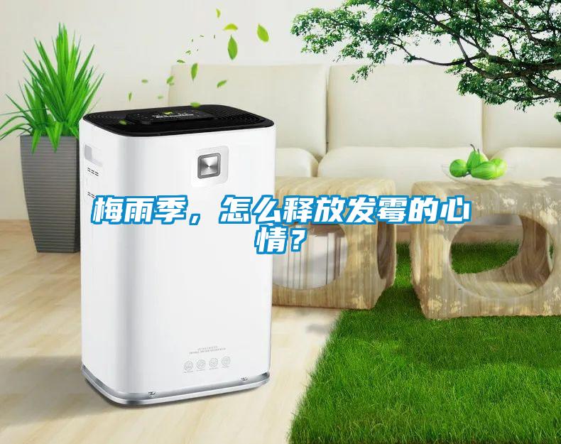 梅雨季,怎么釋放發霉的心情?