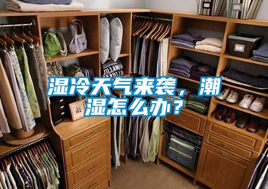 濕冷天氣來襲，潮濕怎么辦？