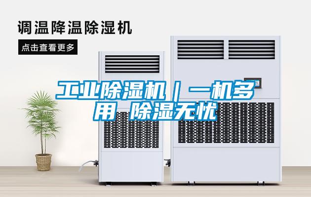 工業(yè)除濕機(jī)|一機(jī)多用 除濕無憂