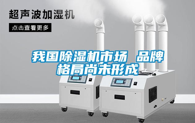 我國(guó)除濕機(jī)市場(chǎng) 品牌格局尚未形成