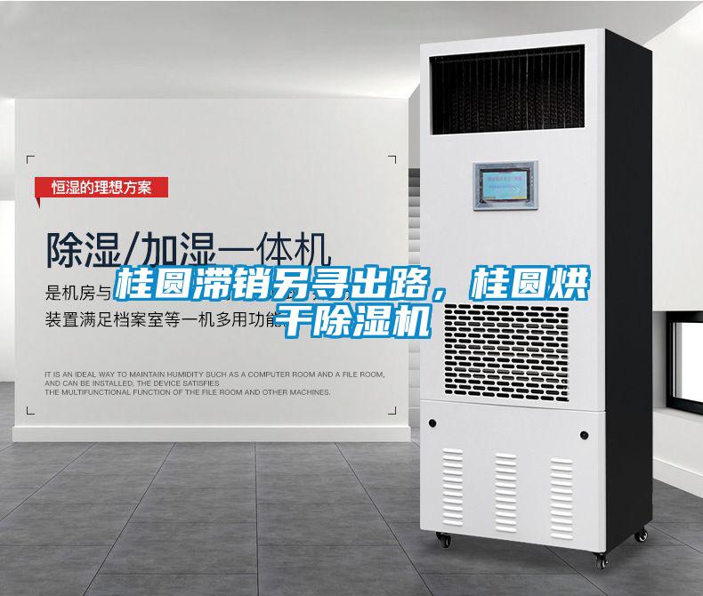 桂圓滯銷另尋出路,桂圓烘干除濕機