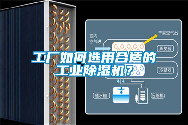 工廠如何選用合適的工業除濕機？