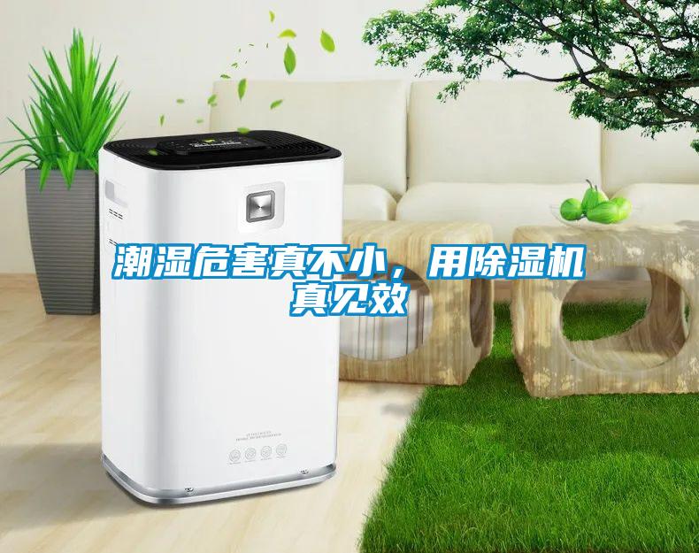 潮濕危害真不小，用除濕機真見效