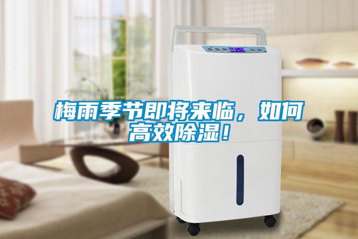 梅雨季節即將來臨，如何高效除濕！
