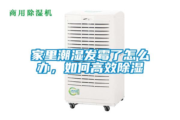 家里潮濕發霉了怎么辦，如何高效除濕