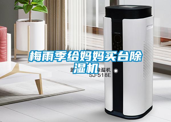 梅雨季給媽媽買臺除濕機