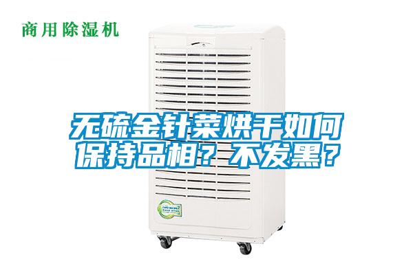 無硫金針菜烘干如何保持品相？不發黑？