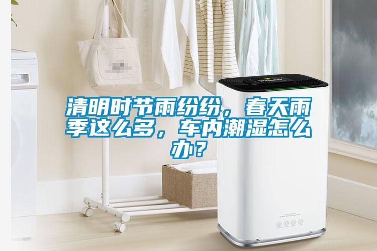 清明時節雨紛紛，春天雨季這么多，車內潮濕怎么辦？