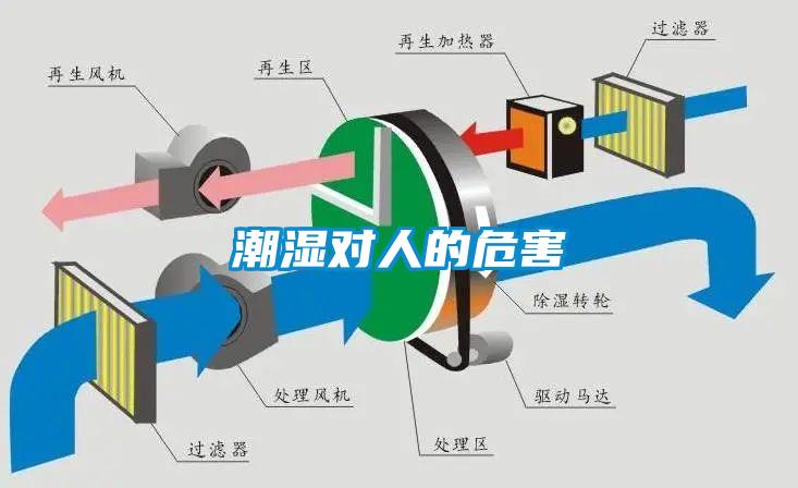 潮濕對人的危害