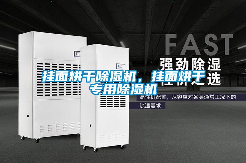 掛面烘干除濕機，掛面烘干專用除濕機