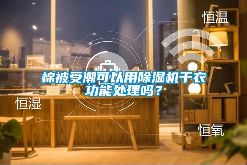 棉被受潮可以用除濕機干衣功能處理嗎?