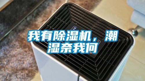 我有除濕機，潮濕奈我何