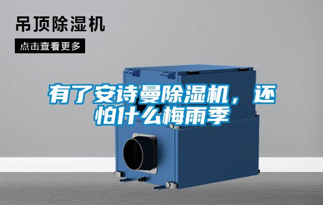 有了安詩曼除濕機(jī)，還怕什么梅雨季