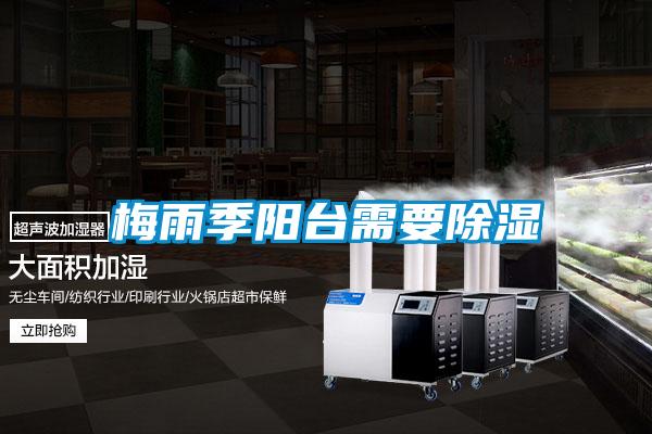 梅雨季陽臺(tái)需要除濕