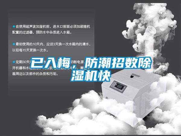 已入梅,防潮招數除濕機快