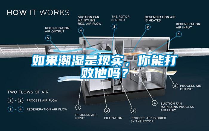 如果潮濕是現(xiàn)實，你能打敗他嗎？