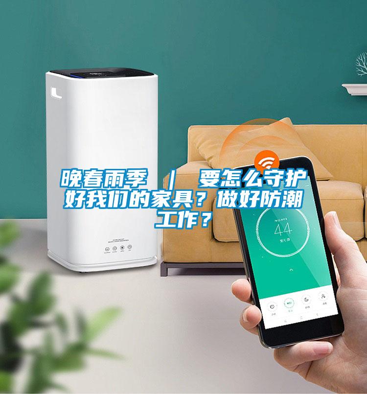 晚春雨季 ｜ 要怎么守護(hù)好我們的家具？做好防潮工作？