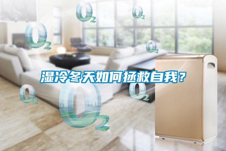 濕冷冬天如何拯救自我？