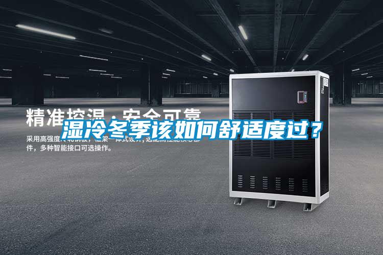 濕冷冬季該如何舒適度過(guò)？
