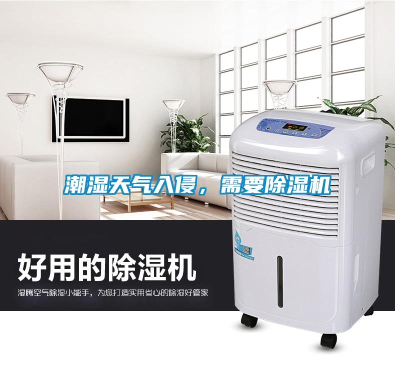 潮濕天氣入侵,需要除濕機