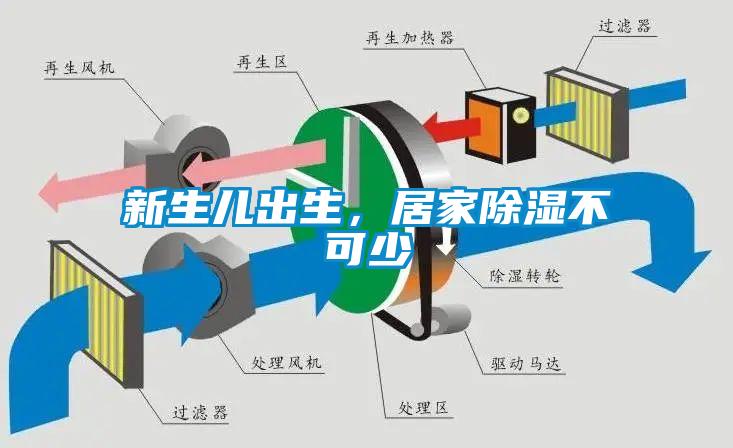 新生兒出生，居家除濕不可少