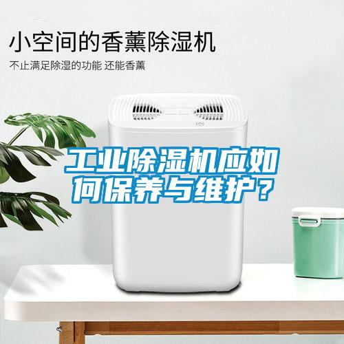 工業(yè)除濕機應如何保養(yǎng)與維護？