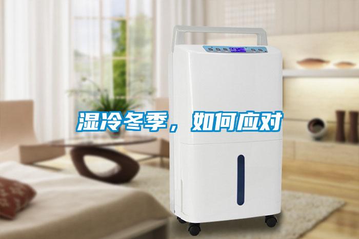 濕冷冬季，如何應對