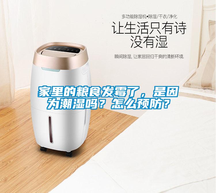 家里的糧食發(fā)霉了,是因?yàn)槌睗駟幔吭趺搭A(yù)防?