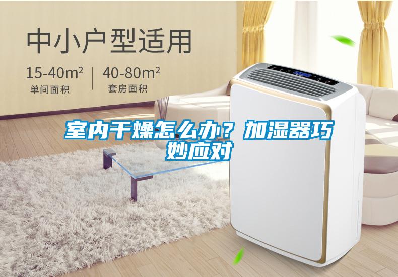 室內干燥怎么辦？加濕器巧妙應對