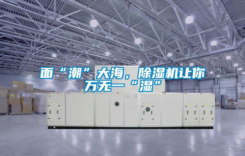 面“潮”大海，除濕機(jī)讓你萬無一“濕”