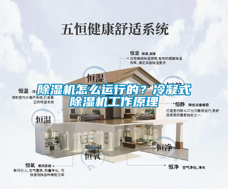 除濕機怎么運行的？冷凝式除濕機工作原理