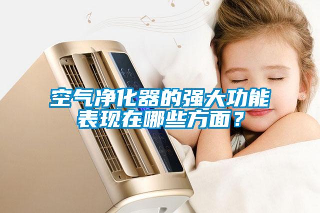 空氣凈化器的強大功能表現在哪些方面？