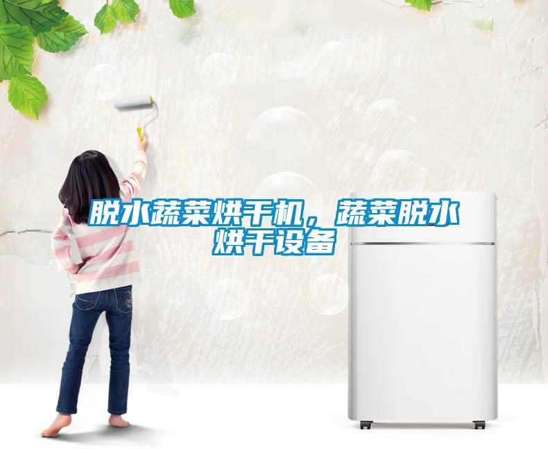 脫水蔬菜烘干機，蔬菜脫水烘干設(shè)備