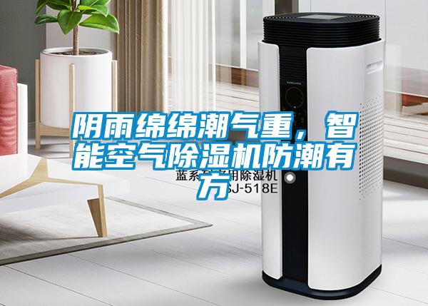 陰雨綿綿潮氣重，智能空氣除濕機防潮有方