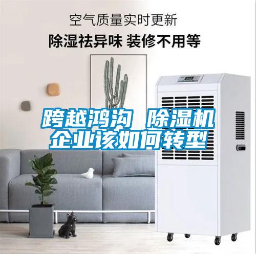 跨越鴻溝 除濕機企業該如何轉型