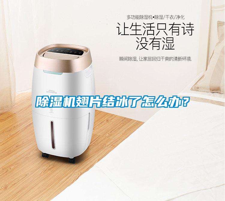 除濕機翅片結冰了怎么辦?