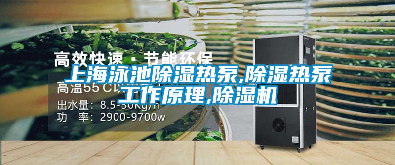 上海泳池除濕熱泵,除濕熱泵工作原理,除濕機(jī)