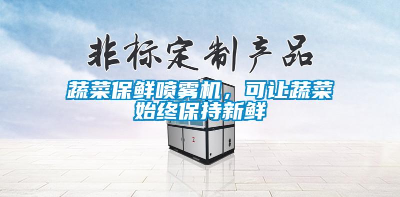 蔬菜保鮮噴霧機，可讓蔬菜始終保持新鮮