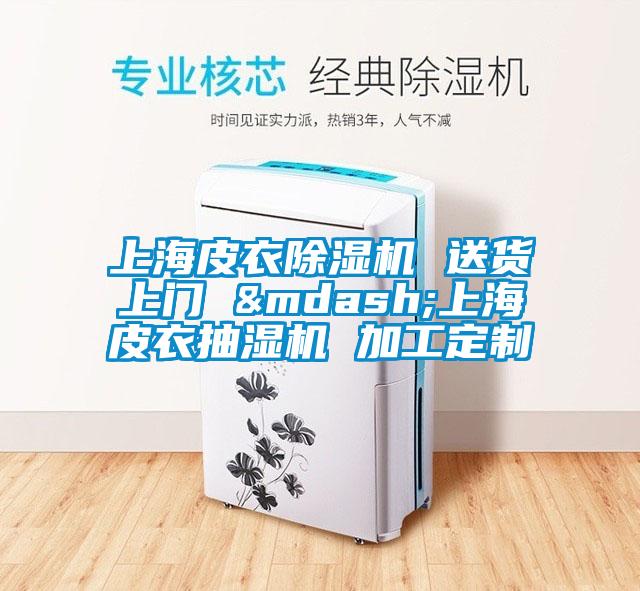 上海皮衣除濕機 送貨上門 &mdash;上海皮衣抽濕機 加工定制